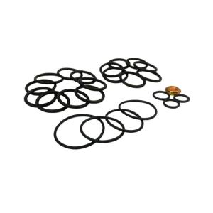 FKM EPDM NBR Rings Custom Colors Redress Kit #10 Baker Setting Tools For Bridge