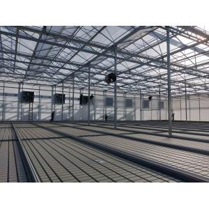 ABS Greenhouse Benches 4x8FT Rolling Benches For Growing