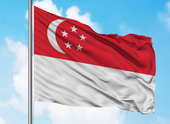 Buy Singapore Flag Header Grommets Finish Screen Printing Single Reverse at wholesale prices