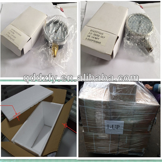 60mm Economy Pressure Gauge Manufacturer With Rubber Protective Cover