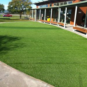 Artificial Plastic Grass High Simulation Water Saving No Need Maintenance