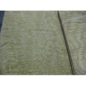 Sliced Natural Chinese Ash Burl Wood Veneer Sheet