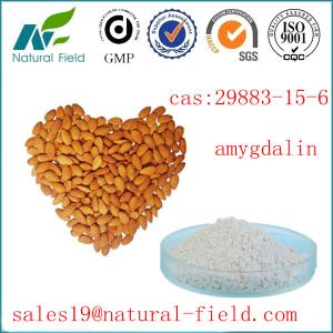 China manufacturer Amygdalin 98% 99%