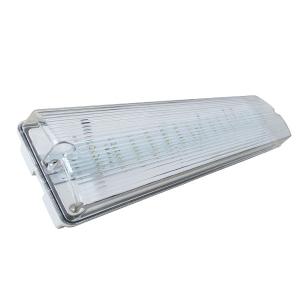Professional Custom Surface Wall Mounted Waterproof Emergency Light