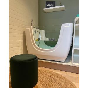 Indoor Baby SPA Bath Tub Tubeless Pump Combo Massage Thermosta with Ozone