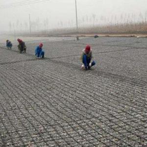 Highways and Railways 100kn Steel Plastic Geogrid Road Surface Resistance