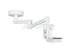 T·IAYI Two-armed Electrical Pendant