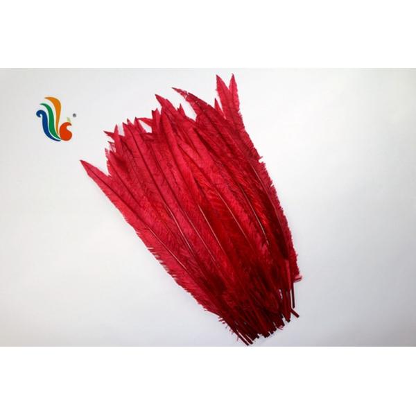 Party Decoration Nandu Plumes Feather Dyed Pattern for Worldwide Shipping