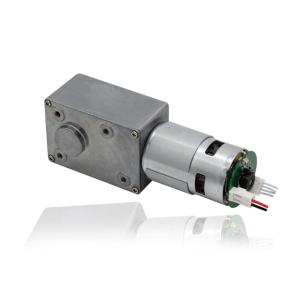Faradyi Factory Direct Sale 775 Brushed Brushless Double Shaft Electric Dc Motor