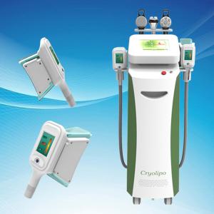 Quality Cryolipolysis Machine / cryolipolysis Slimming Machine With Optional Lipo Laser Pads for sale