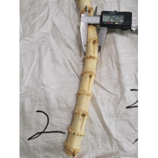 a pair 15cm(5.9 in) Bamboo Bag Handle Bamboo Purse Handle handbag handle bag hardware