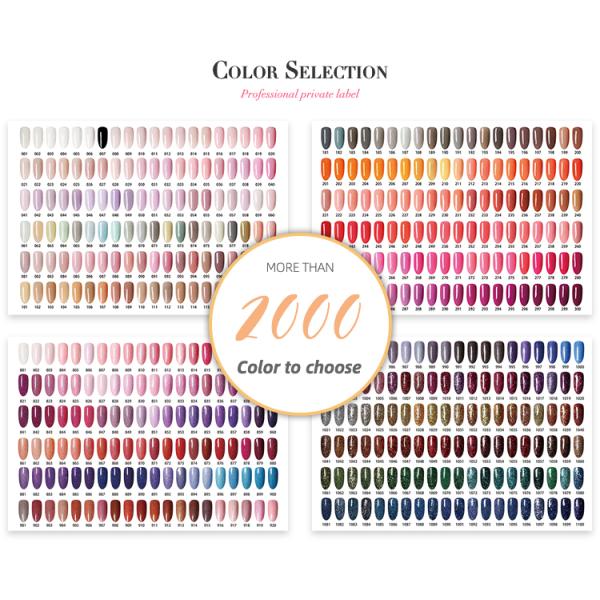 Custom Private Label 2000 Color Nail Dipping Powder System Color Acrylic Powder Dip Color Powder