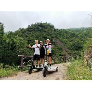 250W Foot Running 3 Wheel Foldable Electric Scooter