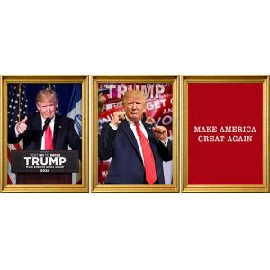 TRUMP Designs Printing Customized 3D PET Lenticular Poster 3D Lenticular
