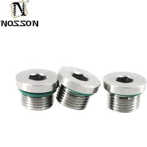 10mm ALLOY Stainless Steel Hexagon Socket Pipe Plug Screw Din908 with ZINC