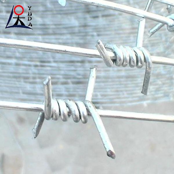 Double Twisted Hot Dipped Galvanized Steel Barbed Iron Wire Fence For Farm