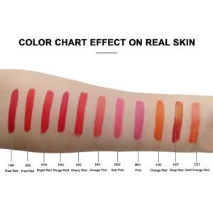 ODM 1000ml Lip Permanent Makeup Pigments Liquid For Machine