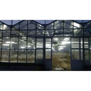 Mushroom Equipment Greenhouse For Vegetable Agriculture With Steel Frame