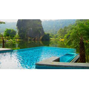 Backyard Infinity Edge Pool with Acrylic Glass View Window and 30-950mm