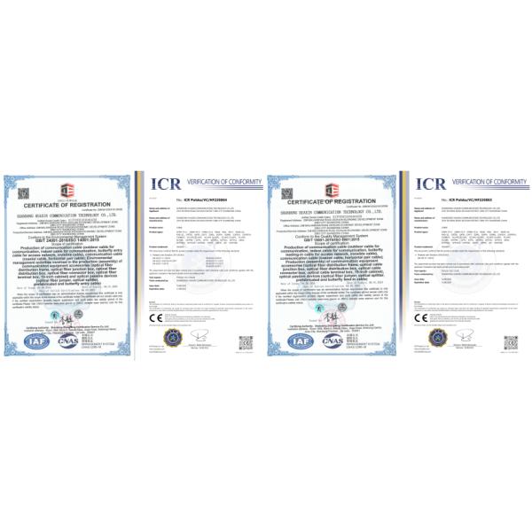 FTTH Optical Fiber PLC Splitter 1*2 1*4 1*8 1*16 1*32 1*64 With SC Connectors