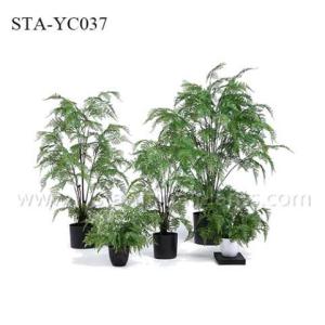 Mutiple Trunks Fake Fern Plants , Artificial House Plants Everlasting Tropical