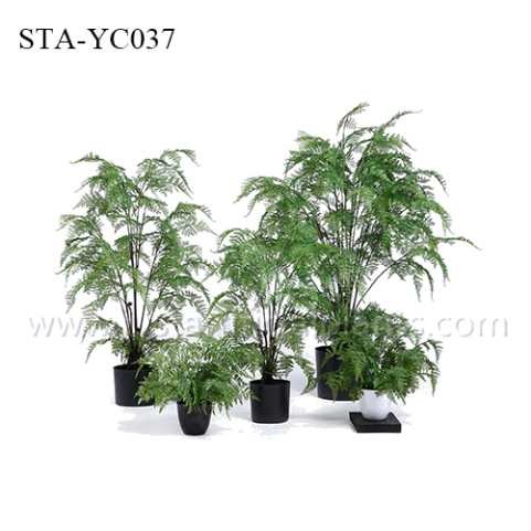Mutiple Trunks Fake Fern Plants , Artificial House Plants Everlasting Tropical