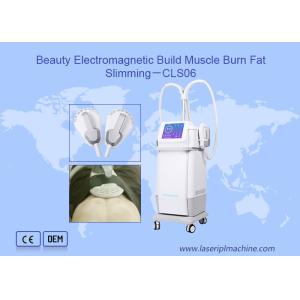 Quality Fat Loss Magnetic 220v Electromagnetic Laser IPL Machine for sale