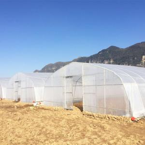 Plastic Covering Polyethylene Film Greenhouse / Single Span Tunnel Flower Power