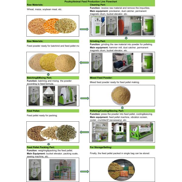 Auto Animal Food Making Machine Animal Feed Processing Equipment Energy Saving