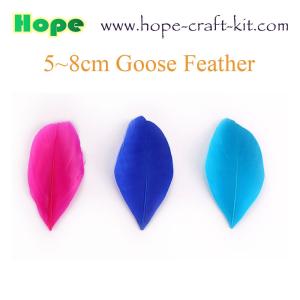 Various size of goose feathers, turkey feathers, chicken feathers, peacock ,