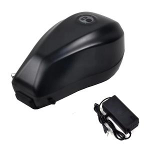 500W-2000W Electric Bicycle Battery Pack 52V 21700 Cell For Motor Ebike