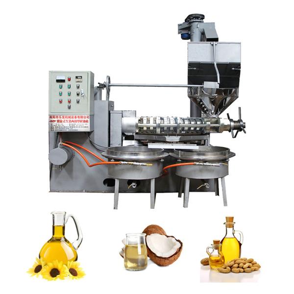 Buy Peanut / Rapeseed Screw Oil Press Machine Oil Press Extractor High Oil Yield at wholesale prices