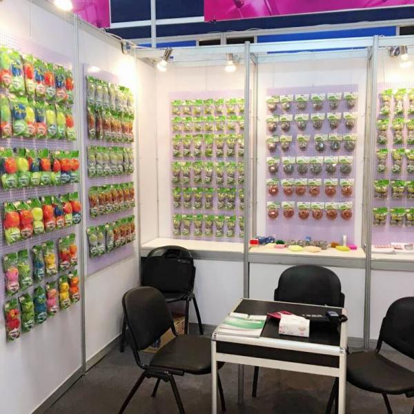 Kitchen Colorful Plastic Mesh Scourer Soft for Hand Sponge in Plastic Scouring Pad