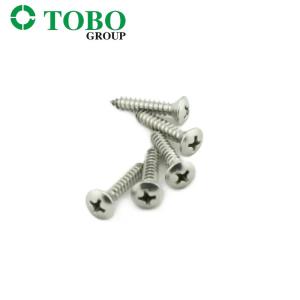Stainless Steel Self Tapping Screws DIN7983 Cross Recessed Raised Countersunk