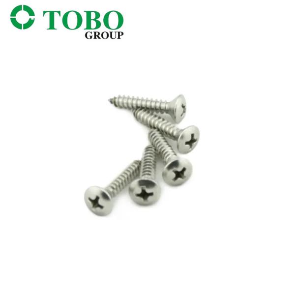 Stainless Steel Self Tapping Screws DIN7983 Cross Recessed Raised Countersunk