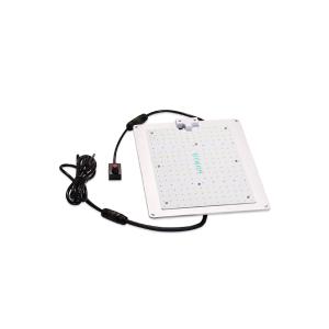 2KG 450nm Lm301b White LED Grow Light For Vegetables