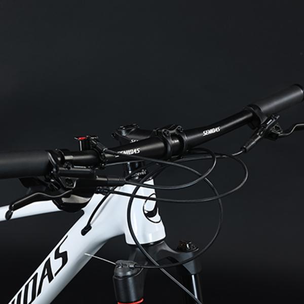 11-52T Gears Range Downhill Mountain Bike with Shimano Shifter and Ordinary Pedal