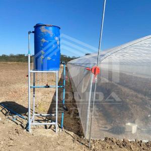 Economical Tunnel Greenhouse with Side Ventilation for Plant Growth