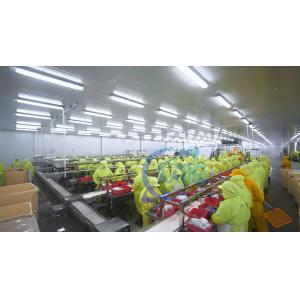 3KW Stable Shrimp Processing Machine 10000x1150x1550mm Practical