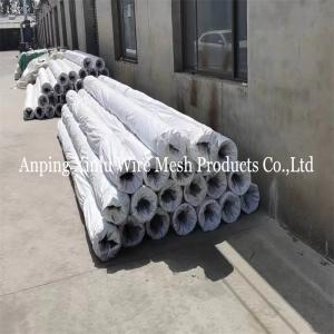 Threaded NPT Stainless Steel Strainer Tube with Electrolytic Polishing/Pickling