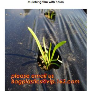 plastic tomatoes home garden polytunnel greenhouse film,Film Covering Tomato