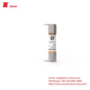 EV315-H-3EB Boxed Electric Vehicle Fuse With Fuses