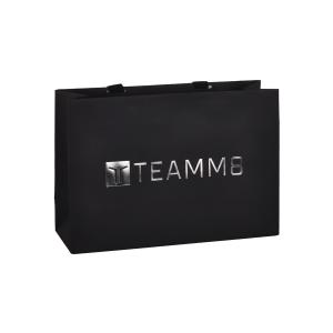 190gsm Custom Paper Bags With Handles 1 Inch Silver Hot Stamping Logo