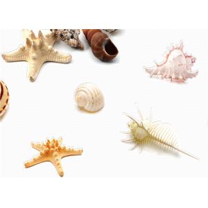 Eco-Friendly Mediterranean Style Non-Woven Wallpaper With Conch And Starfish