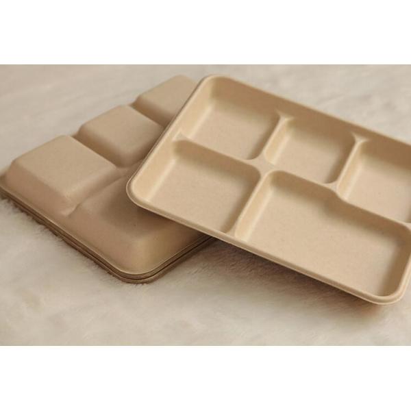 5 compartments Biodegradable Straw pulp food containers paper food trays