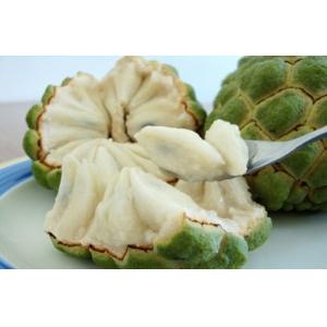Quality High Quality 100% pure natural 10:1 soursop leaves extract-Annona Muricata L. for sale