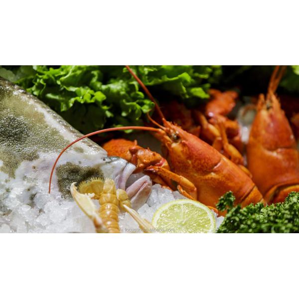 2T Flake Ice Machine for Seafood and Fish Preservation at 25C Water Inlet Temperature