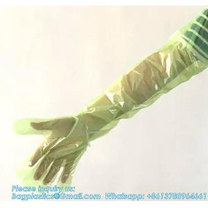 Extended Plastic Disposable Veterinary Long Sleeve Gloves Waterproof Disposable