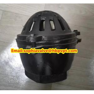 EPDM resilient seal cast iron PN10 foot valve