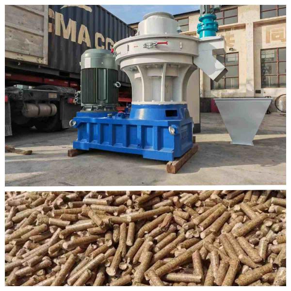 2-3tph Ring Die Pellet Machine Whole Biomass Pellet Production Line With CE